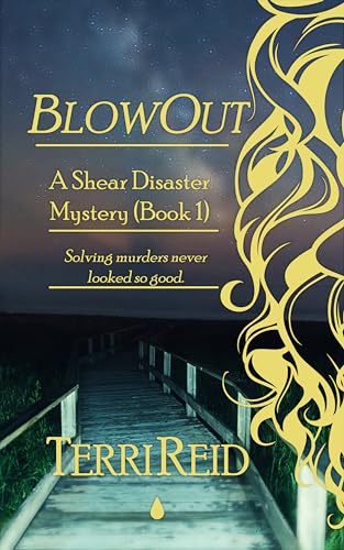 BlowOut (Shear Disaster Mystery Book 1)