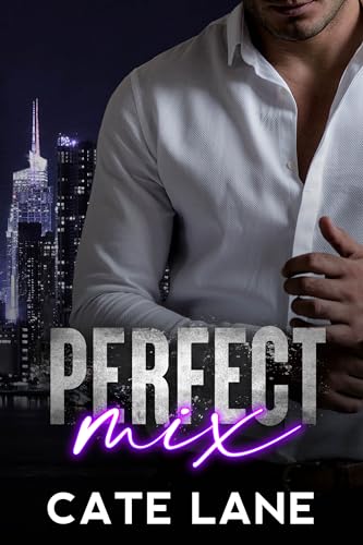 Perfect Mix (Vice Club Nights Book 1)